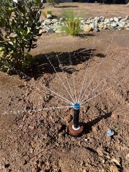 Sprinkler repair – broken sprinkler head replaced by Green Sky Irrigation technician