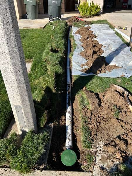 Fresh sod installation – lush green lawn laid in a residential backyard